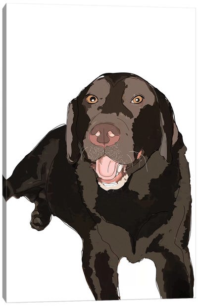 Chocolate Lab Canvas Art Print - Sketch and Paws