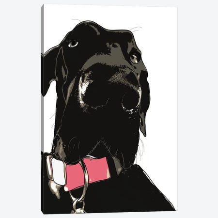 Coaly The Great Dane Canvas Print #SAP31} by Sketch and Paws Canvas Art Print