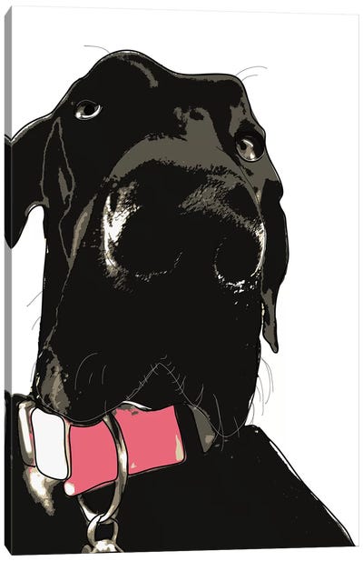 Coaly The Great Dane Canvas Art Print - Sketch and Paws