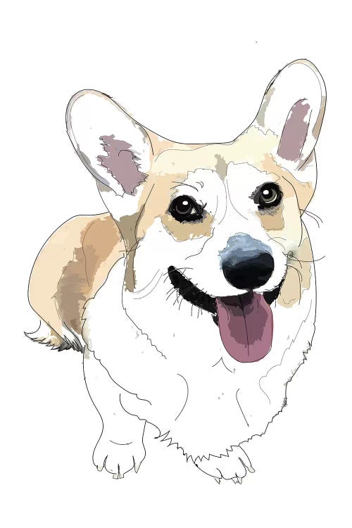 Corgi