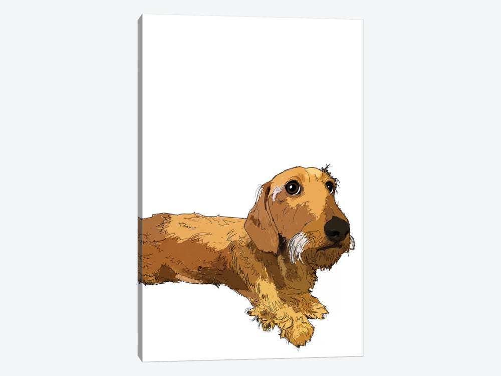 Dachshund by Sketch and Paws 1-piece Canvas Wall Art