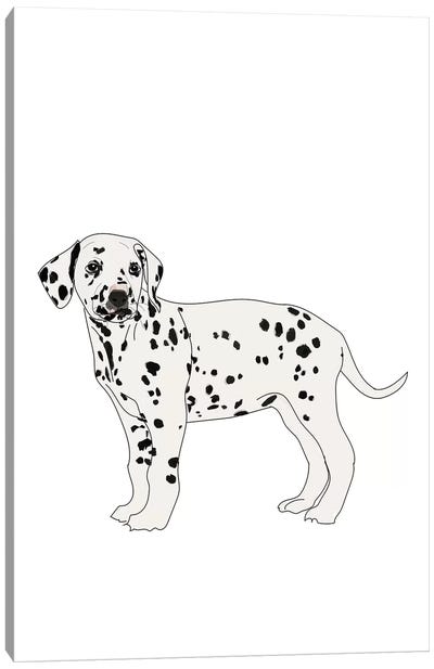 Dalmatian Canvas Art Print - Sketch and Paws