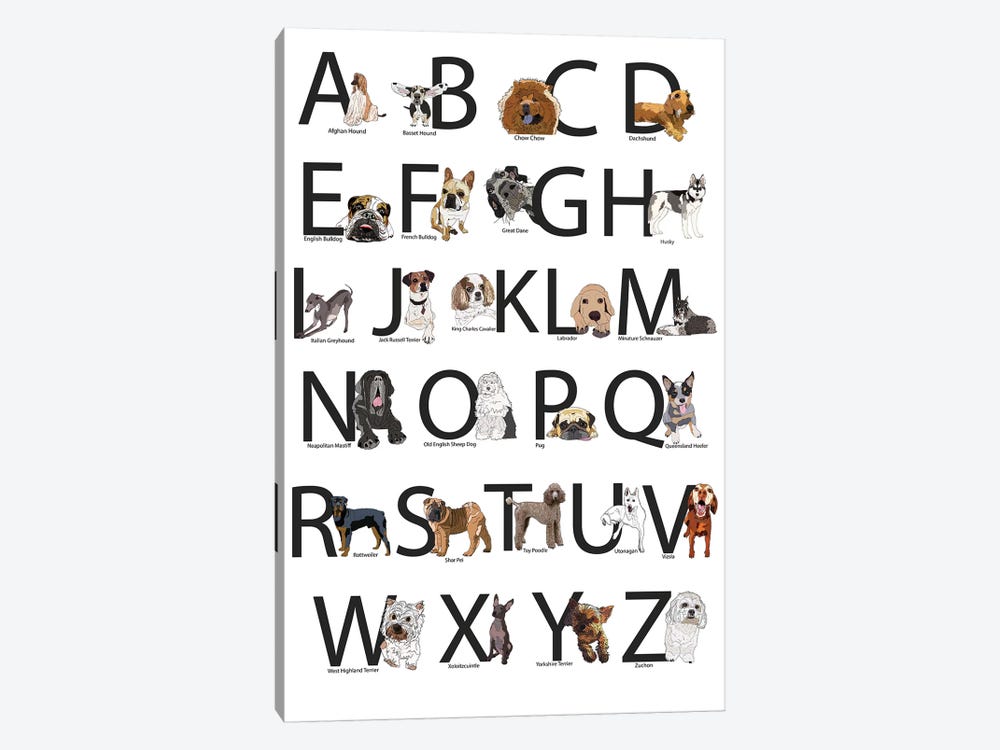 Dog Breed Abcs by Sketch and Paws 1-piece Canvas Wall Art