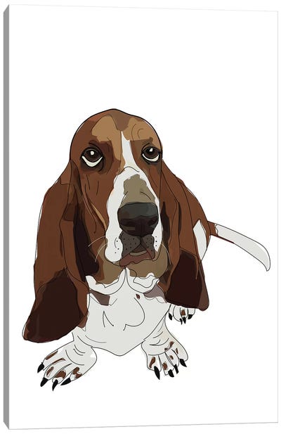 Basset Hound Canvas Art Print - Sketch and Paws