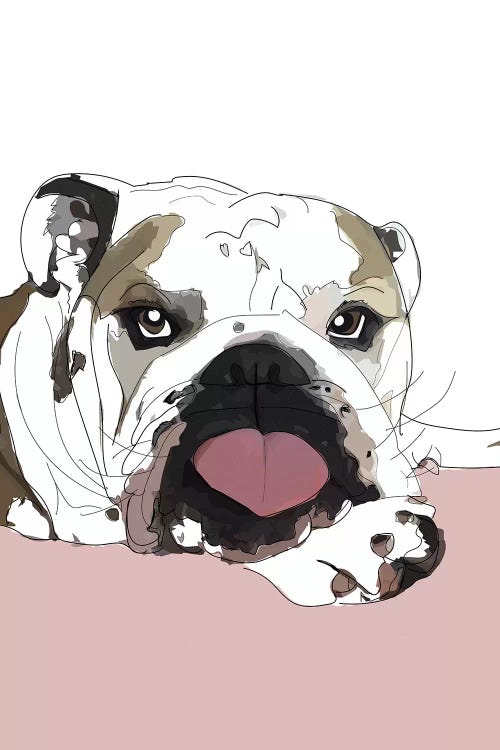 English Bulldog Love