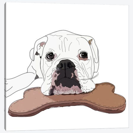 English Bulldog With Toy Canvas Print #SAP43} by Sketch and Paws Canvas Artwork