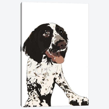 English Springer Spaniel II Canvas Print #SAP45} by Sketch and Paws Canvas Print