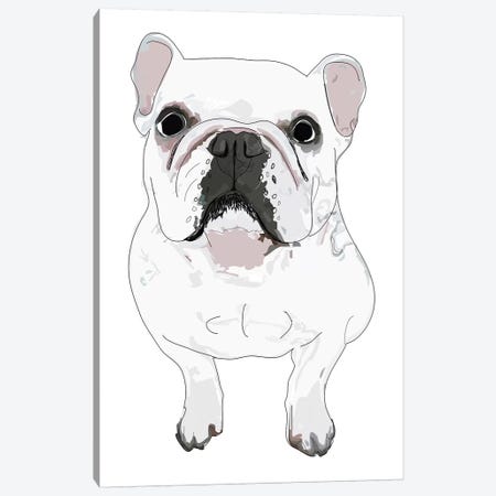 French Bulldog Canvas Print #SAP46} by Sketch and Paws Canvas Art Print