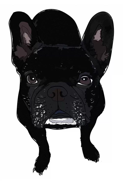 Frenchie Black