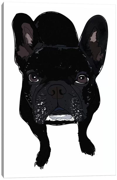 Frenchie Black Canvas Art Print - Sketch and Paws