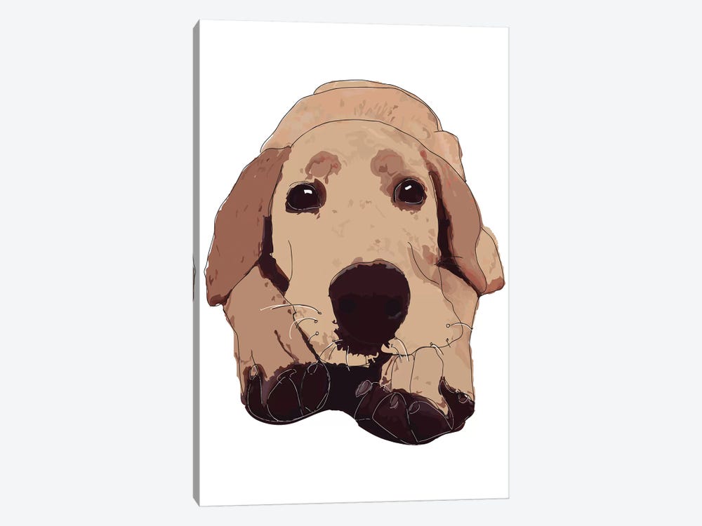 Golden Labrador by Sketch and Paws 1-piece Canvas Wall Art