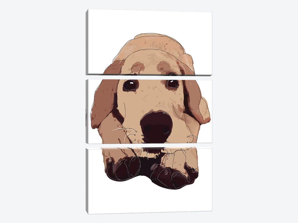 Golden Labrador by Sketch and Paws 3-piece Canvas Art