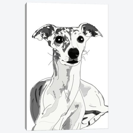 Greyhound Beauty Canvas Print #SAP64} by Sketch and Paws Canvas Art Print