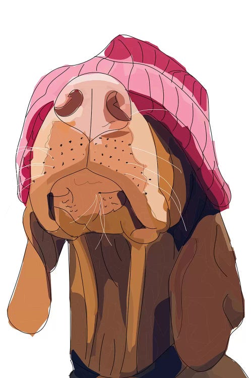 Hipster Vizsla