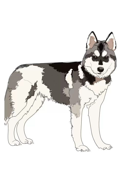 Husky