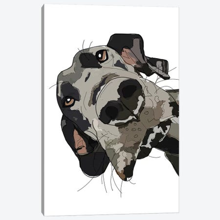 In Your Face Great Dane Canvas Print #SAP75} by Sketch and Paws Canvas Art