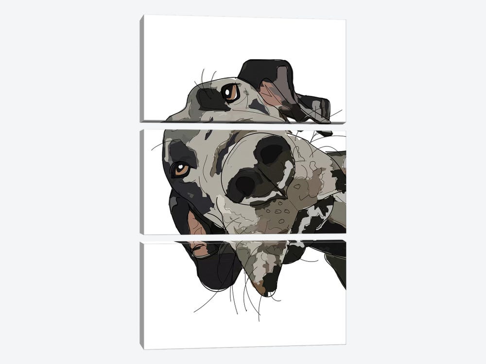 In Your Face Great Dane by Sketch and Paws 3-piece Art Print
