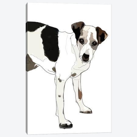 Jack Russell Terrier Canvas Print #SAP76} by Sketch and Paws Canvas Artwork