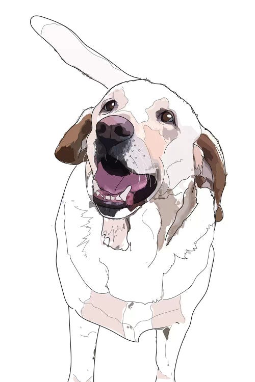 Labrador I