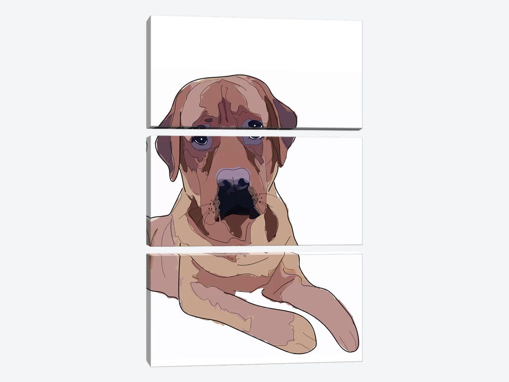Labrador II by Sketch and Paws 3-piece Canvas Art Print