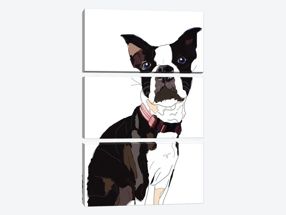 Nadias Boxer by Sketch and Paws 3-piece Canvas Art