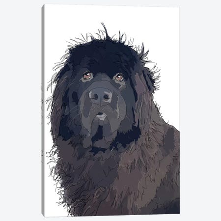 Newfie Canvas Print #SAP90} by Sketch and Paws Canvas Print