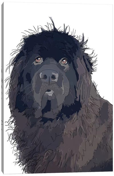 Newfie Canvas Art Print - Sketch and Paws