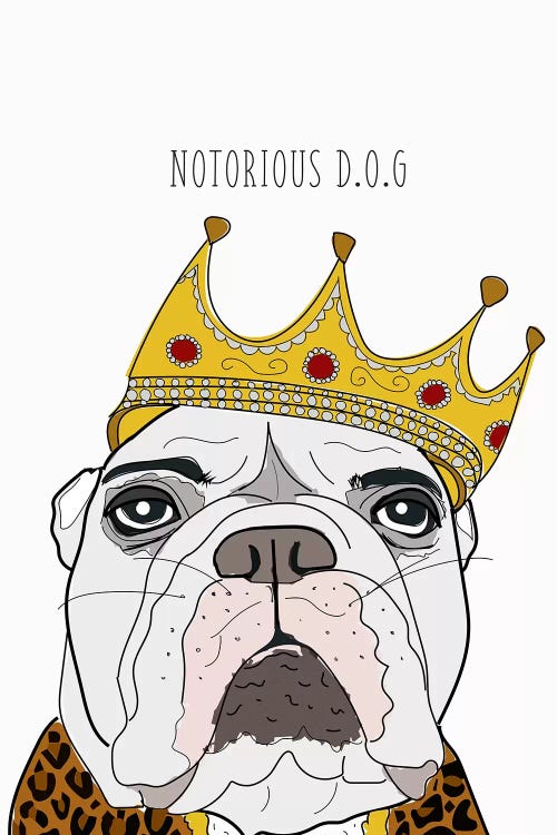 Notorious Dog