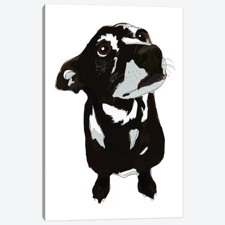 Oreo Canvas Print #SAP93} by Sketch and Paws Canvas Print