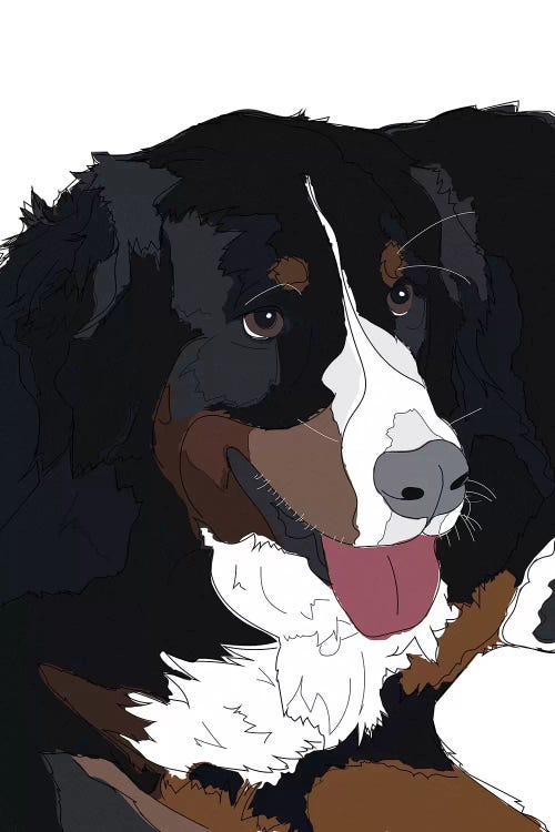 Bernese Mountain Dog II