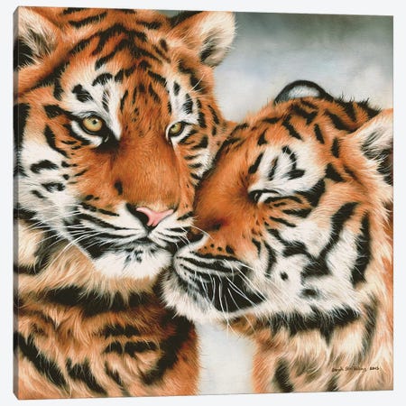 Tiger Cubs Snuggle Canvas Print #SAS101} by Sarah Stribbling Canvas Wall Art