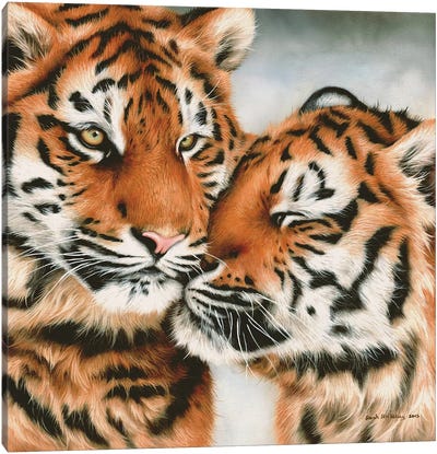 Tiger Cubs Snuggle Canvas Art Print - Sarah Stribbling