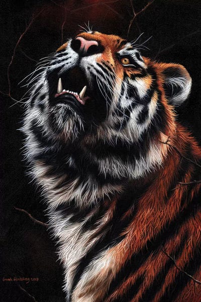 Tiger II by Sarah Stribbling multi panel art