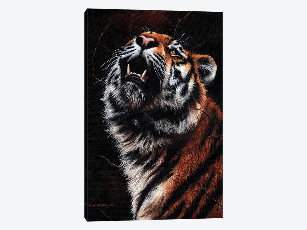 Tiger II by Sarah Stribbling 1-piece Art Print