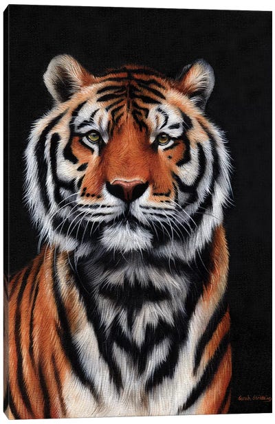 Tiger III Canvas Art Print - Photorealism Art