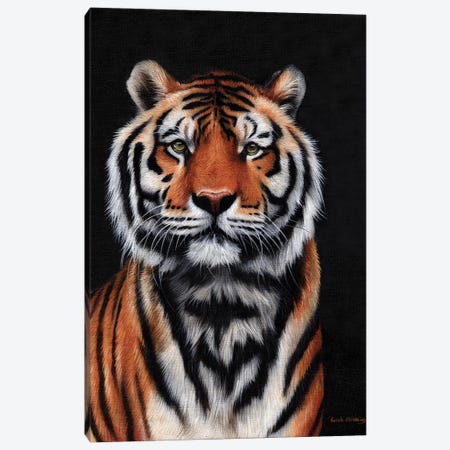 Tiger III Canvas Print #SAS104} by Sarah Stribbling Art Print