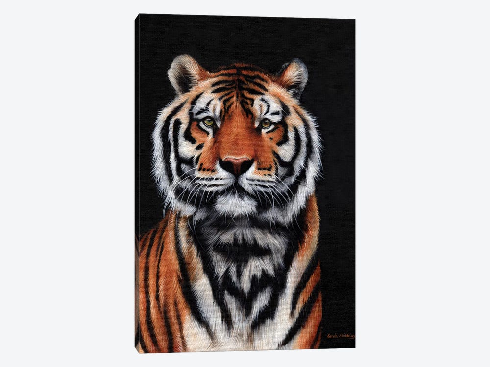 Tiger III by Sarah Stribbling 1-piece Canvas Wall Art