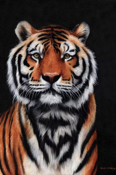 Tiger III