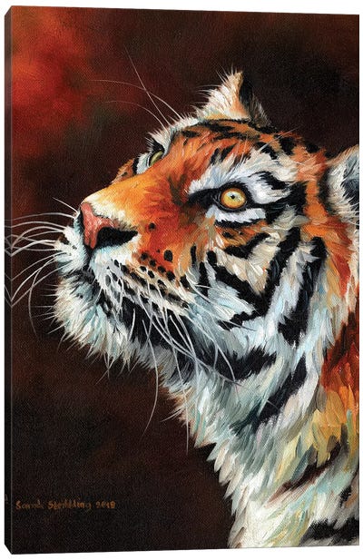 Tiger IV Canvas Art Print - Photorealism Art