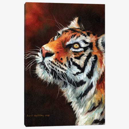 Tiger IV Canvas Print #SAS105} by Sarah Stribbling Canvas Print