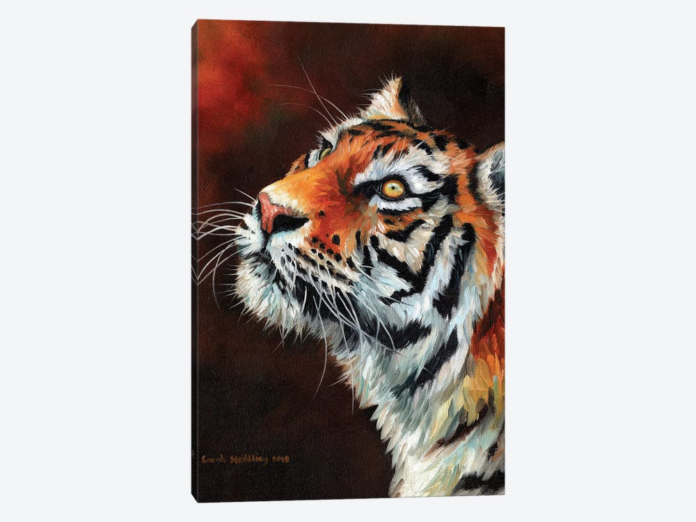 Tiger IV by Sarah Stribbling 1-piece Canvas Art Print