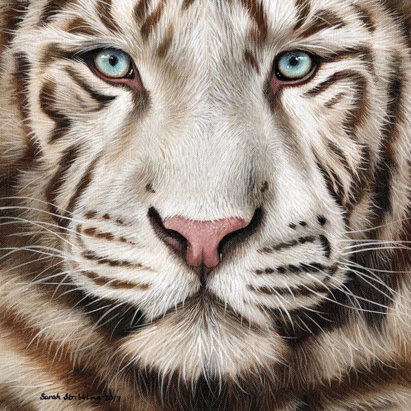 White Tiger II