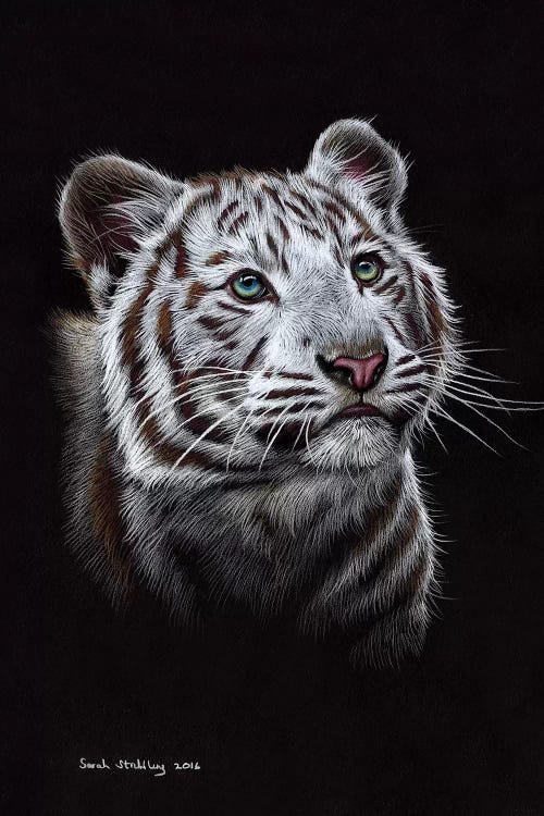 White Tiger III