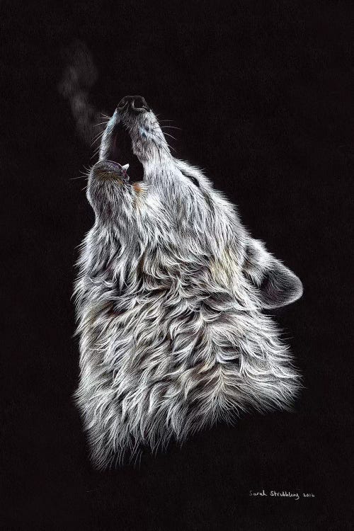 anime drawings of wolves howling