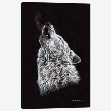White Wolf Howling Canvas Print #SAS110} by Sarah Stribbling Art Print