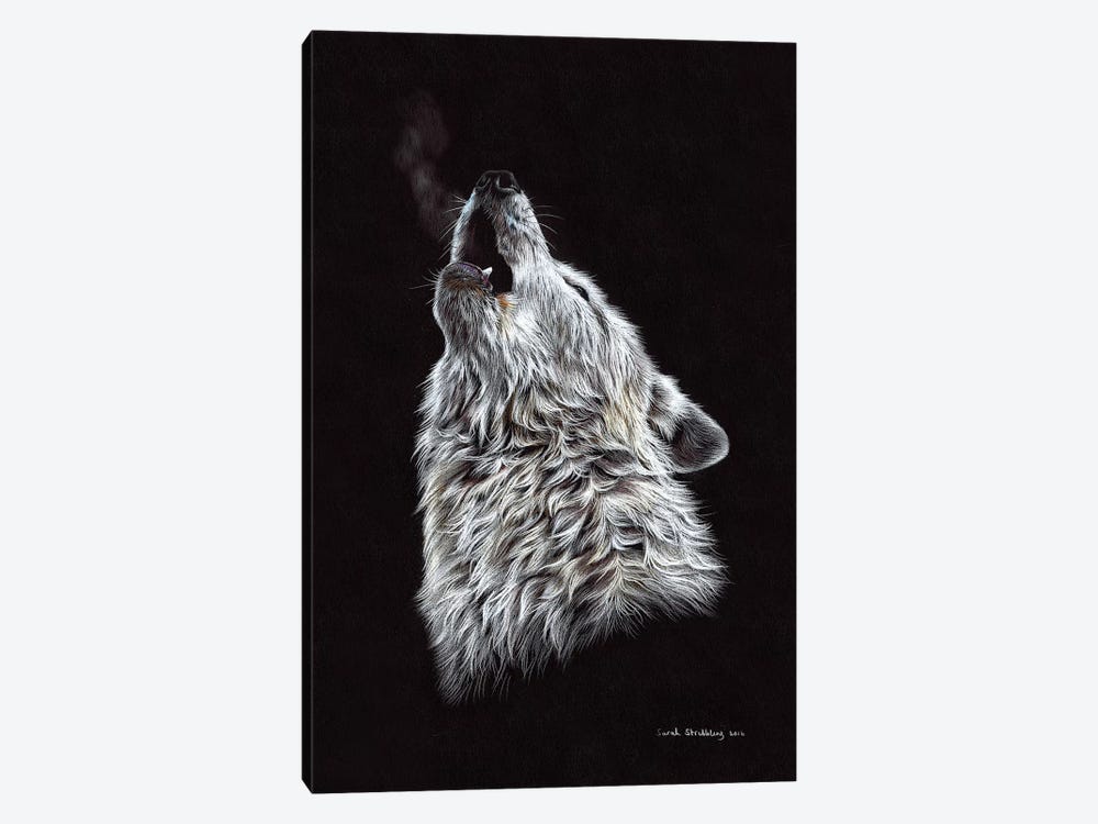 White Wolf Howling by Sarah Stribbling 1-piece Canvas Art Print