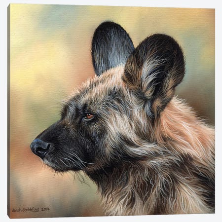 Wild Dog Canvas Print #SAS111} by Sarah Stribbling Art Print