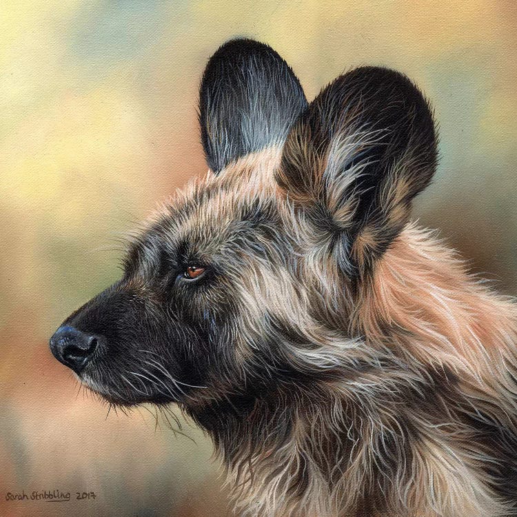 Wild Dog