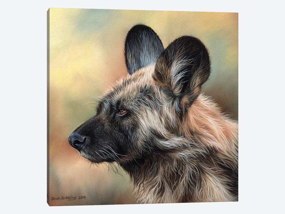 Wild Dog by Sarah Stribbling 1-piece Canvas Artwork
