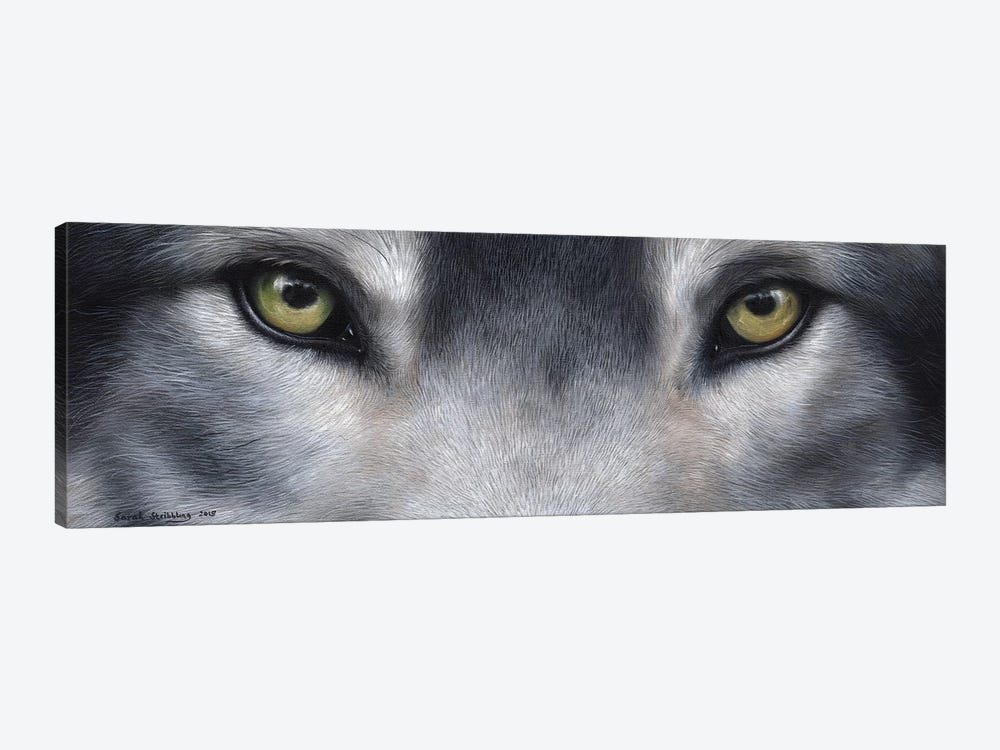 Wolf Eyes by Sarah Stribbling 1-piece Canvas Print